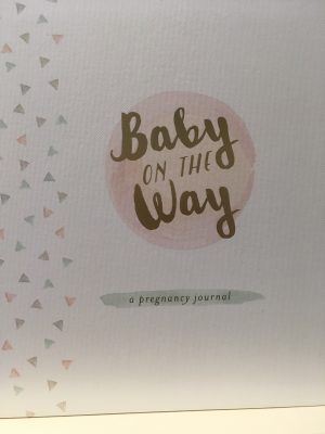 baby on the way journal