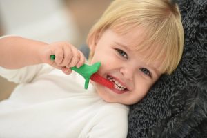 kc toothbrush razberry child